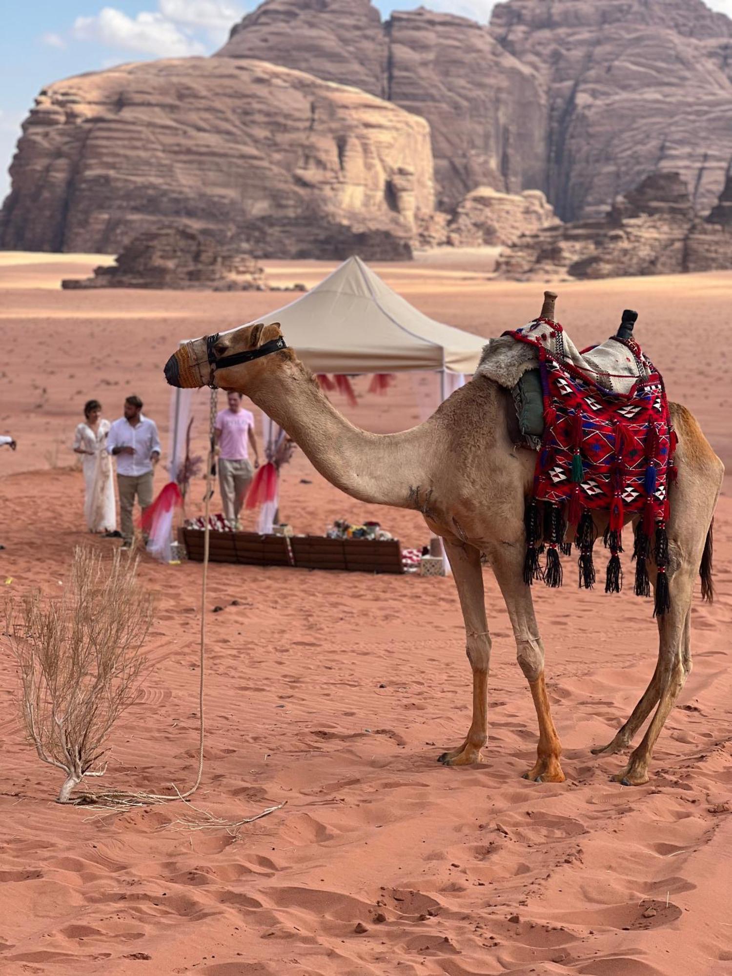 Moon Magic Valley Apartment Wadi Rum Exterior photo